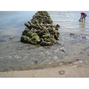 รูปถ่าย ฝรั่งเศส(France) นีวร์มูทีเย(Noirmoutier) 2006-08 116