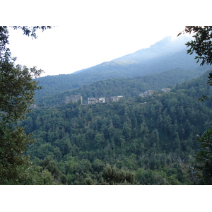 รูปถ่าย ฝรั่งเศส(France) คอร์สิคา(Corsica) วัลเล-ดาเลซานี(Valle d'alesani) 2006-09 33