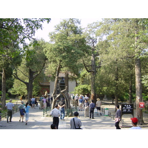 รูปถ่าย จีน(China) ปักกิ่ง(Beijing) พระราชวังต้องห้าม(Forbidden City) 2002-05 168