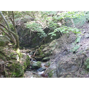 รูปถ่าย อิตาลี(Italy) วิลลาปัลลาวีชีโน(Villa Pallavicino) 2009-06 75