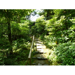 รูปถ่าย ญี่ปุ่น(Japan) โตเกียว(Tokyo) พิพิธภัณฑ์เนซุ(Nezu Museum) 2010-06 88