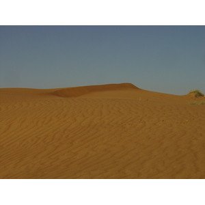 รูปถ่าย สหรัฐอาหรับเอมิเรตส์(United Arab Emirates) จากดูไบไปถนนอัลอิน(Dubai to Al Ain road) 2005-03 71