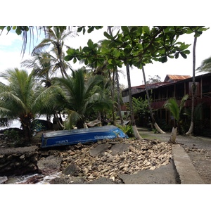รูปถ่าย คอสตาริกา(Costa Rica) กาอุยตา(Cahuita) 2015-03 115