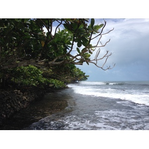 รูปถ่าย คอสตาริกา(Costa Rica) กาอุยตา(Cahuita) 2015-03 98