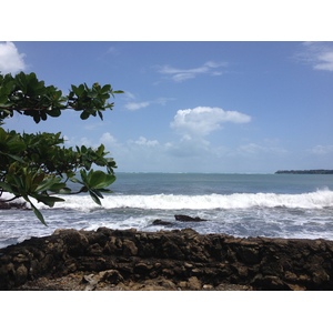 รูปถ่าย คอสตาริกา(Costa Rica) กาอุยตา(Cahuita) 2015-03 196