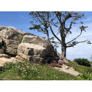 รูปถ่าย ฝรั่งเศส(France) เกาะเบรอา(Brehat Island) 2020-06 253
