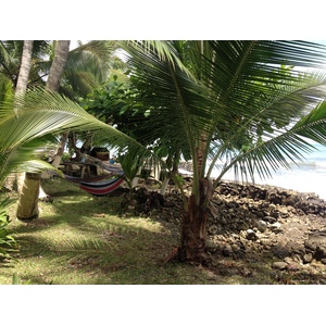 รูปถ่าย คอสตาริกา(Costa Rica) กาอุยตา(Cahuita) 2015-03 194