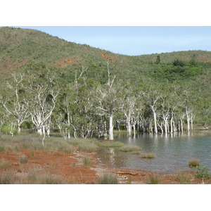 รูปถ่าย นิวแคลิโดเนีย(New Caledonia) อุทยานริเวียร์เบลอ(Parc de la Riviere Bleue) 2010-05 85