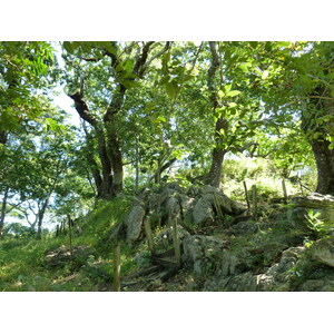 รูปถ่าย ฟิจิ(Fiji) ป้อมเนินเขาตาวูนี(Tavuni Hill Fort) 2010-05 1