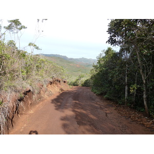 รูปถ่าย นิวแคลิโดเนีย(New Caledonia) อุทยานริเวียร์เบลอ(Parc de la Riviere Bleue) 2010-05 114