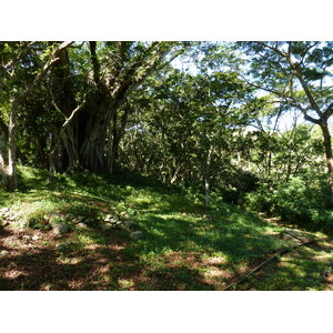 รูปถ่าย ฟิจิ(Fiji) ป้อมเนินเขาตาวูนี(Tavuni Hill Fort) 2010-05 4