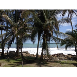รูปถ่าย คอสตาริกา(Costa Rica) กาอุยตา(Cahuita) 2015-03 170