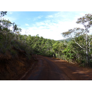 รูปถ่าย นิวแคลิโดเนีย(New Caledonia) อุทยานริเวียร์เบลอ(Parc de la Riviere Bleue) 2010-05 139