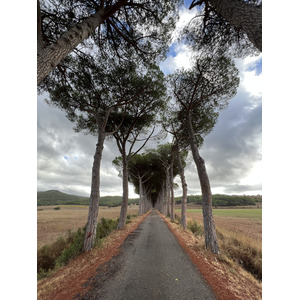 รูปถ่าย อิตาลี(Italy) ทัสคานี(Tuscany) 2021-09 10