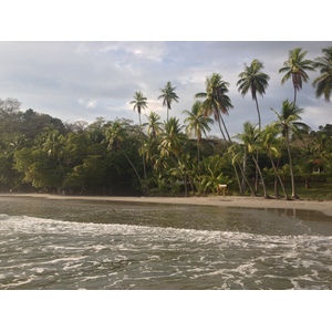 รูปถ่าย คอสตาริกา(Costa Rica) มานวยล์อันโตนีโอ(Manuel Antonio) 2015-03 263