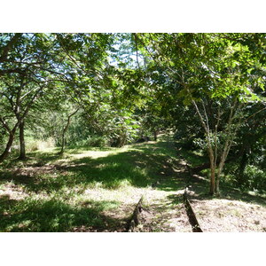 รูปถ่าย ฟิจิ(Fiji) ป้อมเนินเขาตาวูนี(Tavuni Hill Fort) 2010-05 11