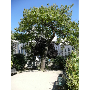 รูปถ่าย ฝรั่งเศส(France) ปารีส(Paris) ถนนลาฟาแย็ต(Rue La Fayette) 2007-08 147