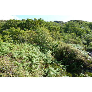 รูปถ่าย อังกฤษ(United Kingdom) สกอตแลนด์(Scotland) เซเลน(Salen) 2011-07 17