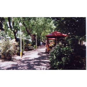 รูปถ่าย บราซิล(Brazil) ริโอ(Rio) 1999-01 4
