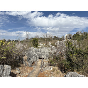รูปถ่าย จีน(China) ป่าหินสือหลิน(Shilin Stone Forest) 2026-01 237