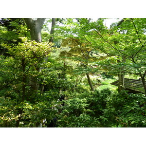 รูปถ่าย ญี่ปุ่น(Japan) โตเกียว(Tokyo) พิพิธภัณฑ์เนซุ(Nezu Museum) 2010-06 54
