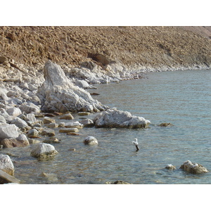 รูปถ่าย จอร์แดน(Jordan) ทะเลดำ(Dead Sea) 2004-10 6