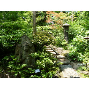 รูปถ่าย ญี่ปุ่น(Japan) โตเกียว(Tokyo) พิพิธภัณฑ์เนซุ(Nezu Museum) 2010-06 30