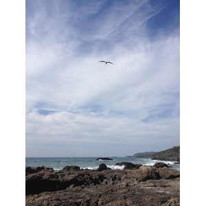 รูปถ่าย คอสตาริกา(Costa Rica) มอนเตซูมา(Montezuma) 2015-03 539