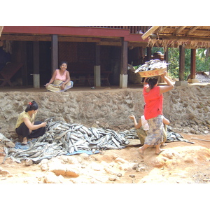 รูปถ่าย พม่า(Myanmar) หาดหม่องมะกันด้านเหนือ(Maungmagan North) 2005-01 39