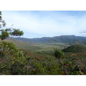 รูปถ่าย นิวแคลิโดเนีย(New Caledonia) อุทยานริเวียร์เบลอ(Parc de la Riviere Bleue) 2010-05 93