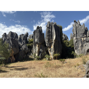 รูปถ่าย จีน(China) ป่าหินสือหลิน(Shilin Stone Forest) 2026-01 67