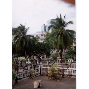 รูปถ่าย เวียดนาม(Vietnam) ไซง่อน(Saigon) 1995-12 22