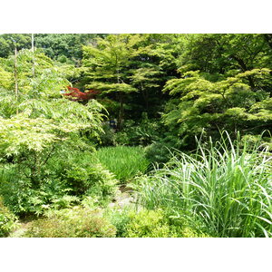 รูปถ่าย ญี่ปุ่น(Japan) โตเกียว(Tokyo) พิพิธภัณฑ์เนซุ(Nezu Museum) 2010-06 36