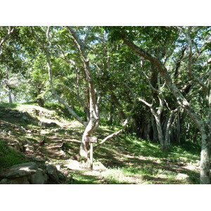 รูปถ่าย ฟิจิ(Fiji) ป้อมเนินเขาตาวูนี(Tavuni Hill Fort) 2010-05 18