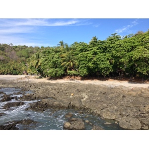 รูปถ่าย คอสตาริกา(Costa Rica) มอนเตซูมา(Montezuma) 2015-03 85