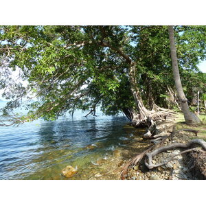 รูปถ่าย ไทย(Thailand) เกาะช้าง(Ko Chang) 2011-12 29