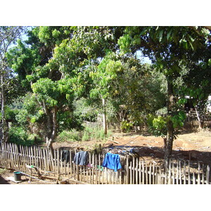 รูปถ่าย ไทย(Thailand) ปางมะผ้า(Pang Mapha) 2005-12 214