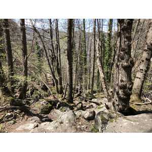 รูปถ่าย ฝรั่งเศส(France) แอบบีแซ็งมาร์แต็งดูกานีกู(Abbaye Saint Martin du Canigou) 2018-04 84
