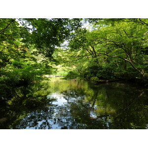 รูปถ่าย ญี่ปุ่น(Japan) โตเกียว(Tokyo) พิพิธภัณฑ์เนซุ(Nezu Museum) 2010-06 116