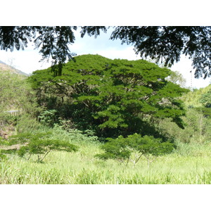รูปถ่าย นิวแคลิโดเนีย(New Caledonia) ทีโอ(Thio) 2010-05 51