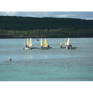 รูปถ่าย นิวแคลิโดเนีย(New Caledonia) เกาะลีฟู(Lifou) เว(We) 2010-05 28