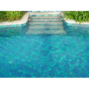 รูปถ่าย ไทย(Thailand) เขาหลัก(Khao Lak) โรงแรมเลอเมอริเดียน เขาหลัก(Meridien Khao Lak Hotel) 2005-12 336