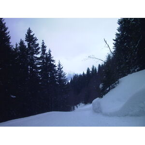 รูปถ่าย สวิสเซอร์แลนด์(Switzerland) กรินเดลวัลด์(Grindelwald) 1999-04 2