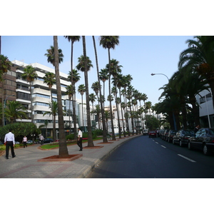 รูปถ่าย โมร็อกโก(Morocco) คาซาบลังกา(Casablanca) ใจกลางคาซาบลังกา(Casablanca Center) 2008-07 42
