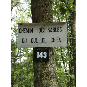 รูปถ่าย ฝรั่งเศส(France) ฟงเทนโบล(Fontainebleau) ทัวร์ป่า(Circuit des 25 bosses) 2007-08 70