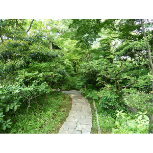 รูปถ่าย ญี่ปุ่น(Japan) โตเกียว(Tokyo) พิพิธภัณฑ์เนซุ(Nezu Museum) 2010-06 16