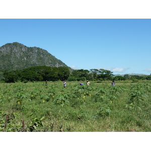 รูปถ่าย ฟิจิ(Fiji) แม่น้ำซิงกาโตกา(Sigatoka river) 2010-05 77