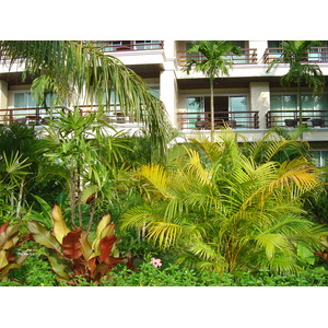รูปถ่าย ไทย(Thailand) เขาหลัก(Khao Lak) โรงแรมเลอเมอริเดียน เขาหลัก(Meridien Khao Lak Hotel) 2005-12 347