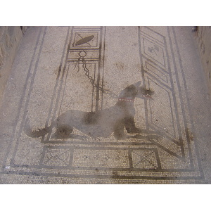 รูปถ่าย อิตาลี(Italy) ปอมเปอี(Pompeii) 2004-11 21