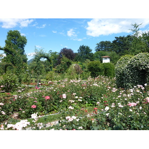 รูปถ่าย อิตาลี(Italy) วิลลาปัลลาวีชีโน(Villa Pallavicino) 2009-06 88